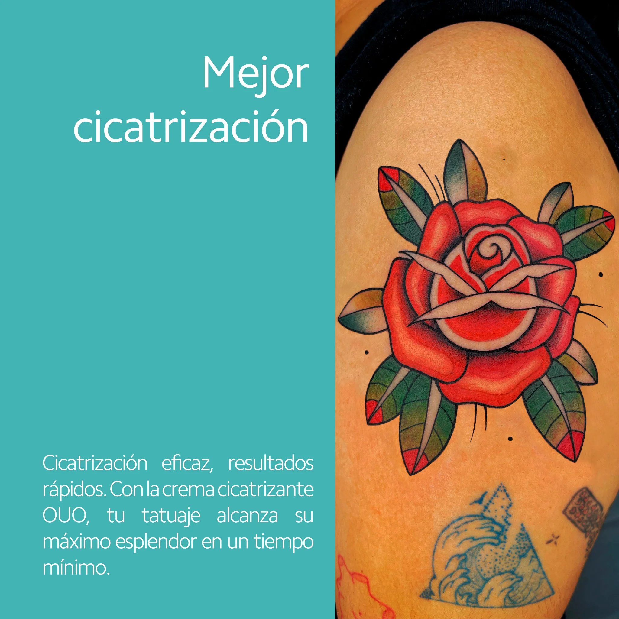 Imagen del producto 3