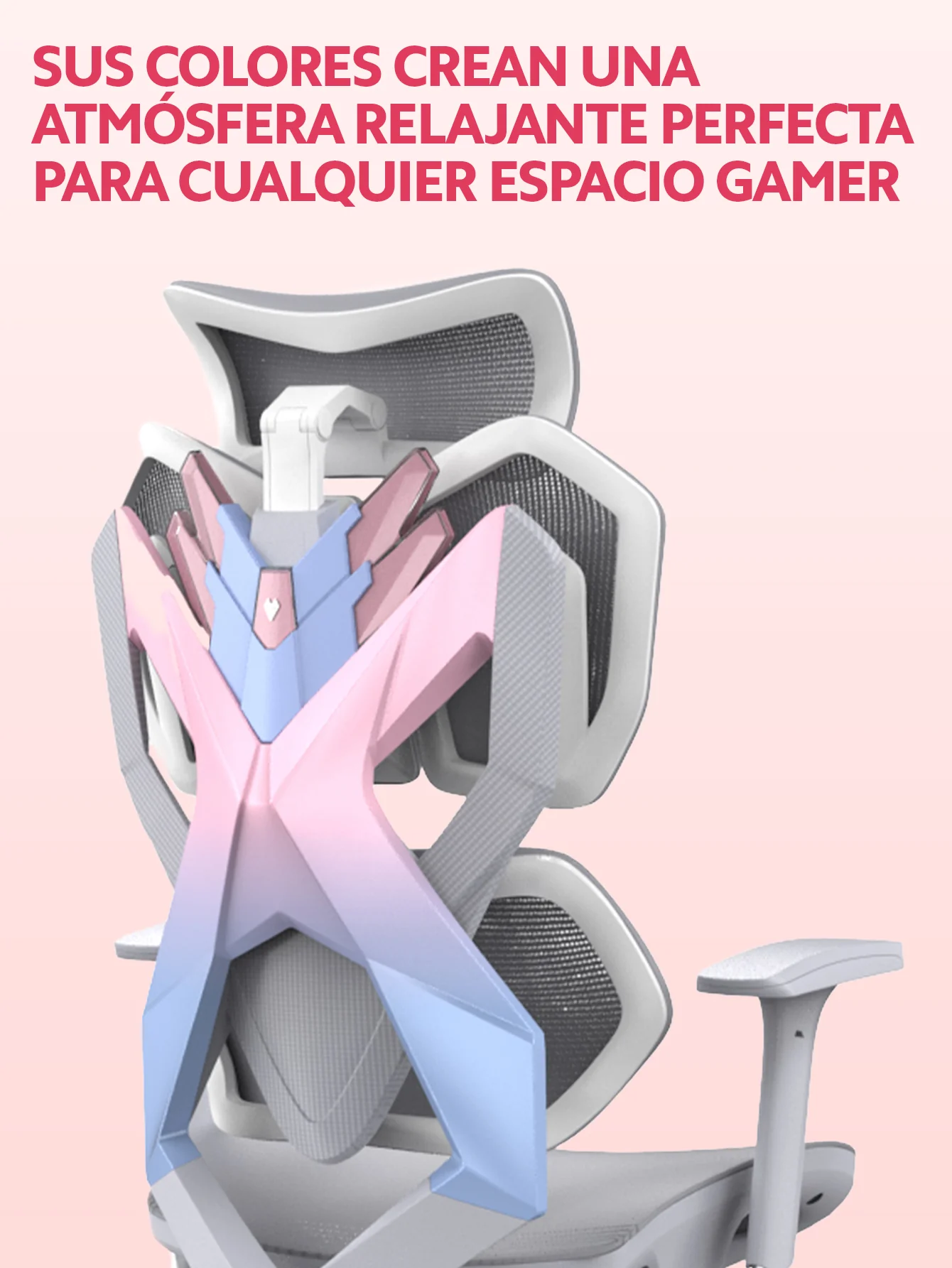 Imagen del producto 22